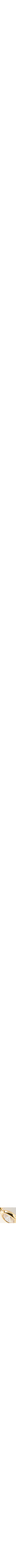 Assorti