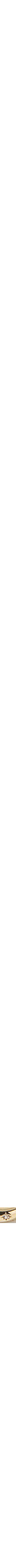 Assorti