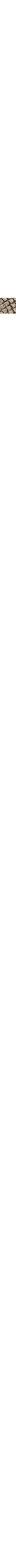 Serpent