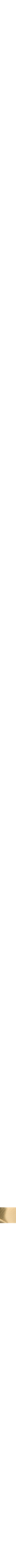 Assorti