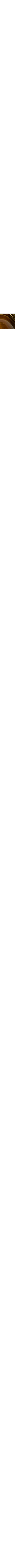 Doré et brun