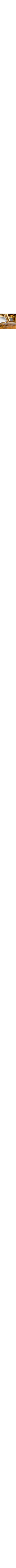 Doré et brun