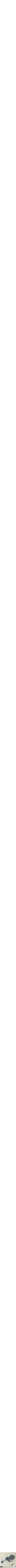 Assorti