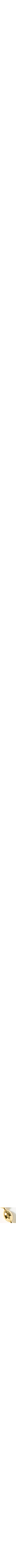 Assorti