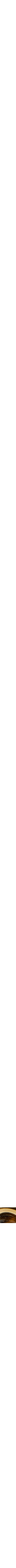 Doré et brun
