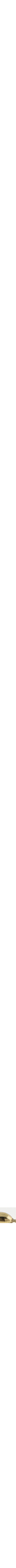 Assorti