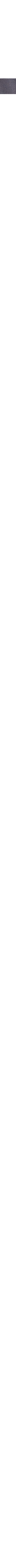 Slate Grey