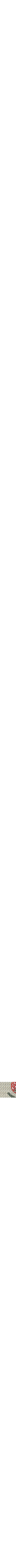 Rouge à motifs