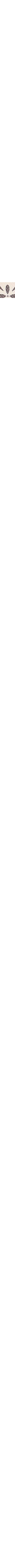 Blanc et noir