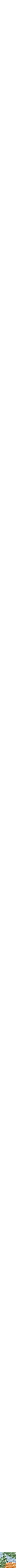 Assorti