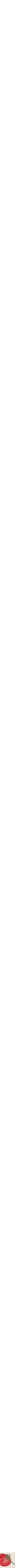 Assorti