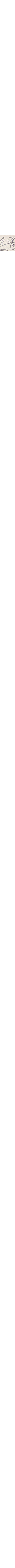 Écru à motifs