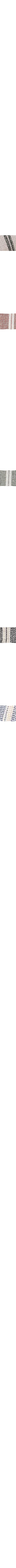 Patterned Ecru