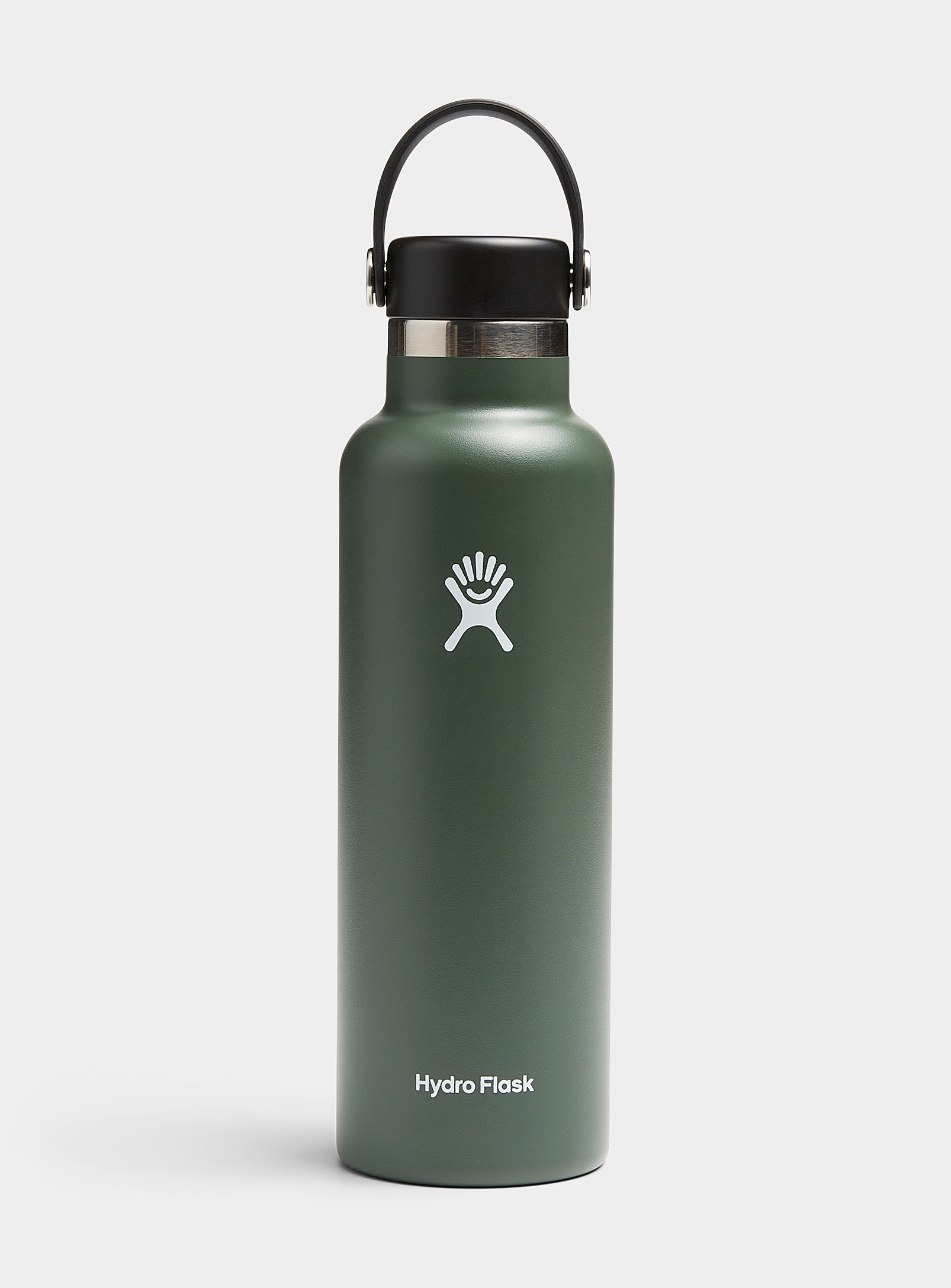 Hydro Flask Standard Mouth Insulated Bottle In Green