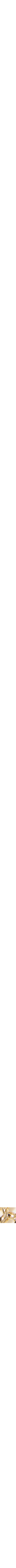 Assorti