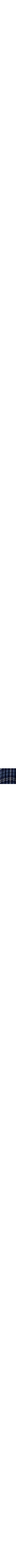 Patterned Blue