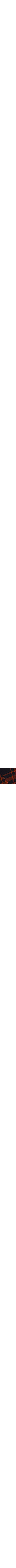 Patterned Blue