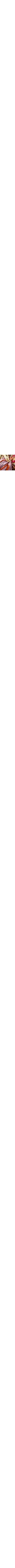 Brun assorti