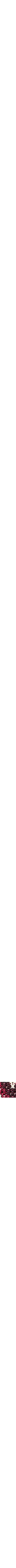 Rouge à motifs