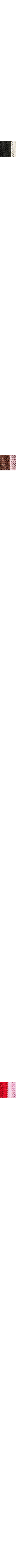Brun à motifs