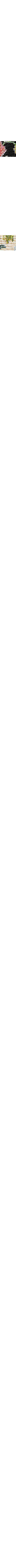 Noir à motifs
