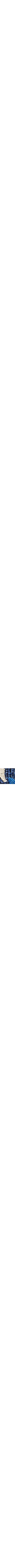 Patterned Blue