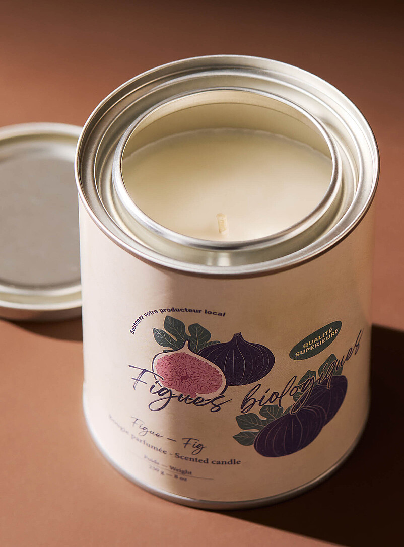 Simons Maison: La bougie parfum&eacute;e minipot de peinture Voir nos fragrances offertes Figue