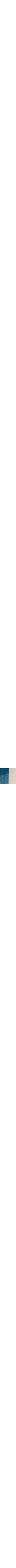 Patterned Blue