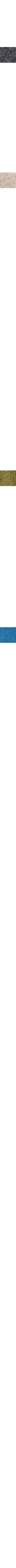 Charbon