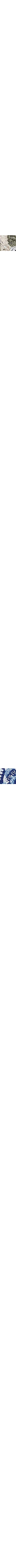 Patterned Blue