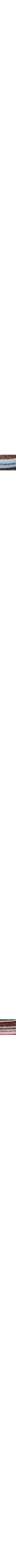 Brun à motifs
