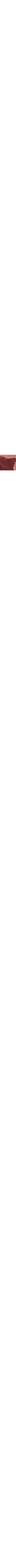 Brun à motifs