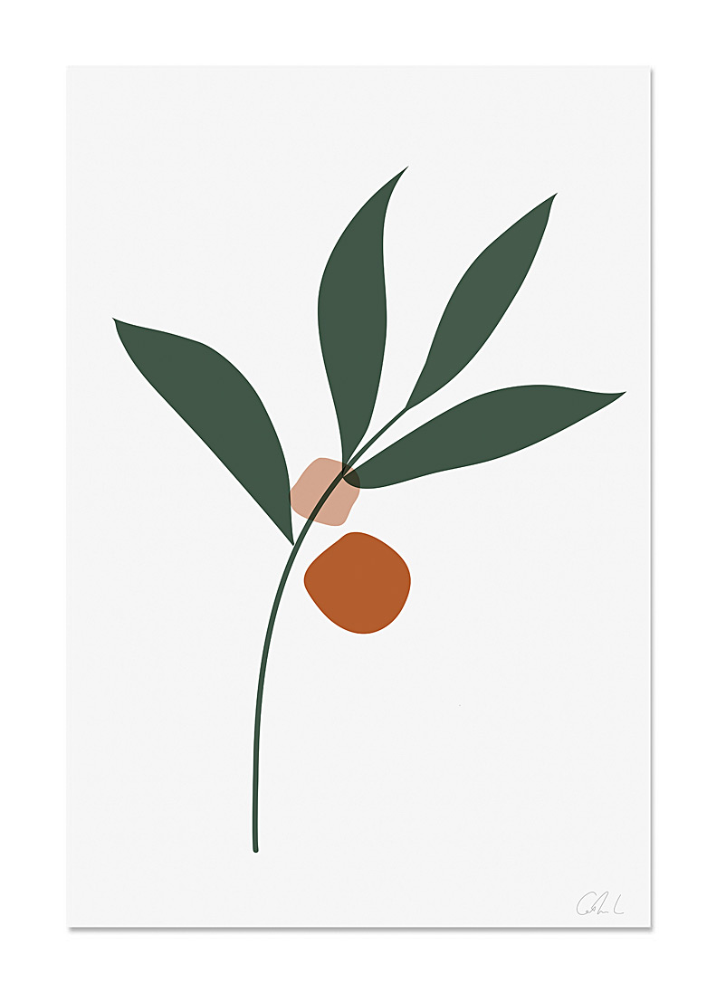Catherine Lavoie: L'affiche La botanique 2 formats offerts Assorti