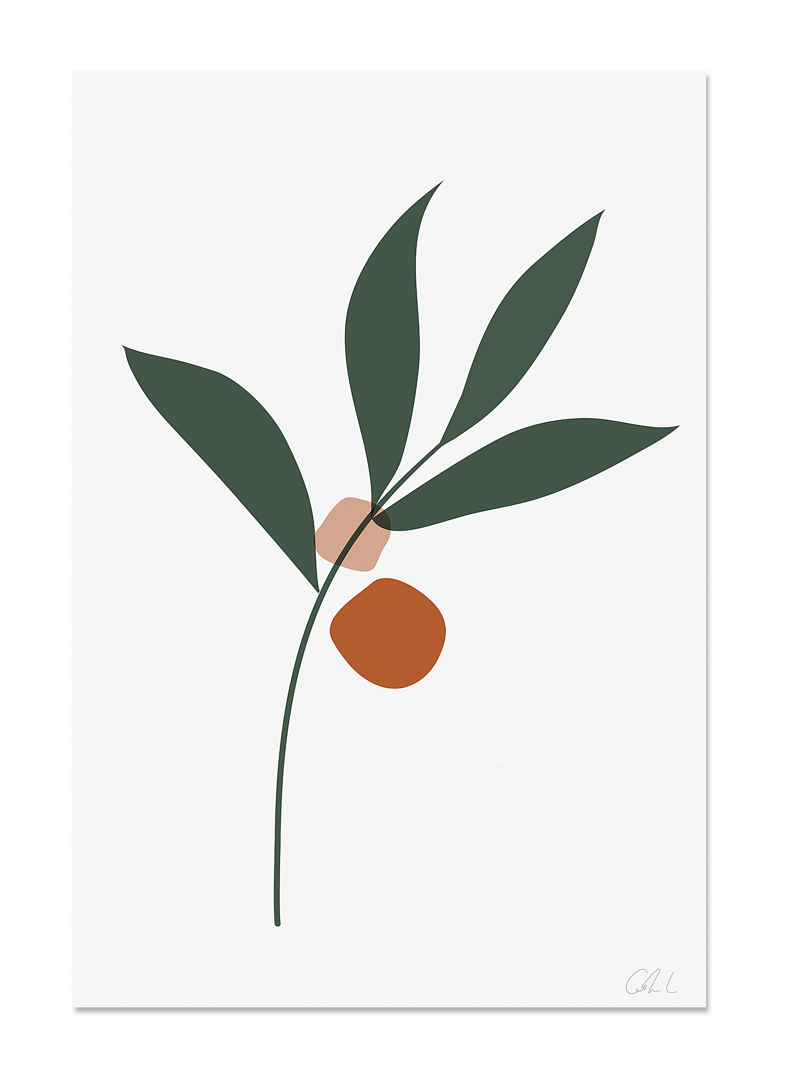 Catherine Lavoie - Botanical art print See available sizes
