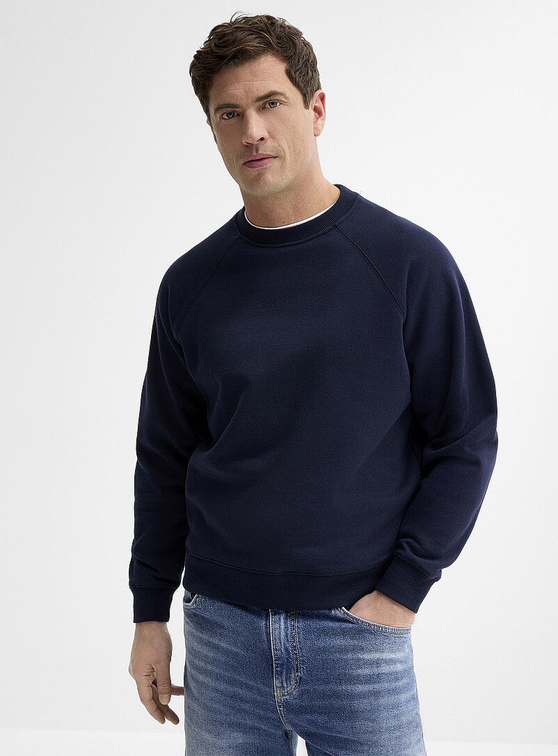 Le 31 Baby Blue Fleece-underside raglan sweatshirt for men