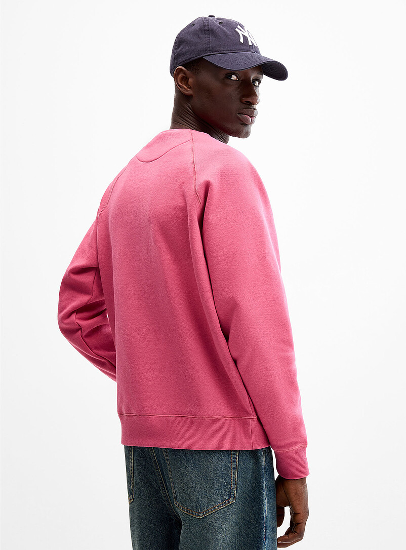 Le 31 Baby Blue Fleece-underside raglan sweatshirt for men