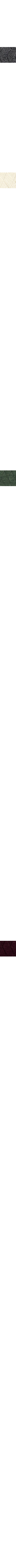 Blanc cassé