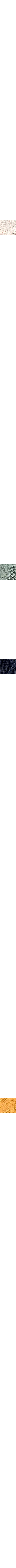 Vert assorti