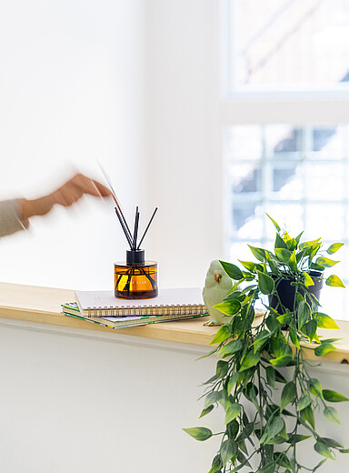 Le diffuseur &agrave; roseaux Hinoki