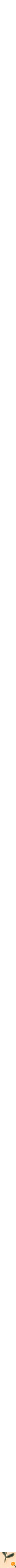 Assorti