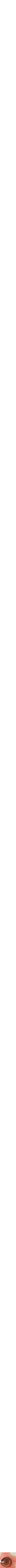Assorti