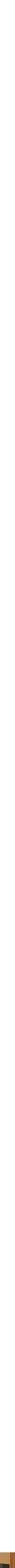 Assorti