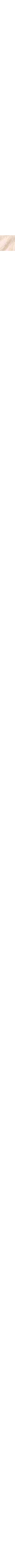 Patterned Ecru