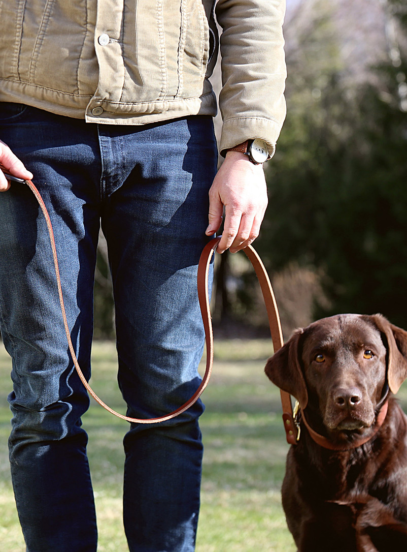 La Compagnie Robinson Brown Leather and brass dog leash