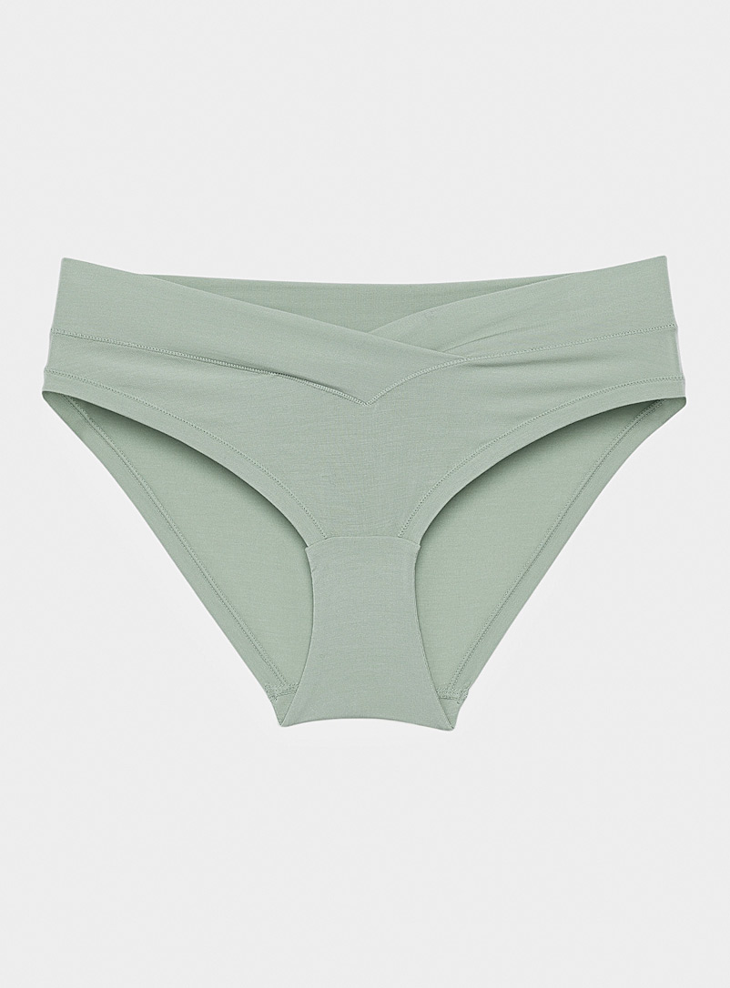 Miiyu Pine/Bottle Green V-waist modal bikini panty for women