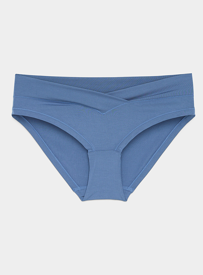 Miiyu Slate Blue V-waist modal bikini panty for women