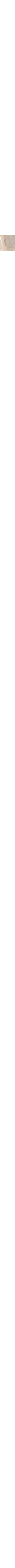 Patterned Ecru