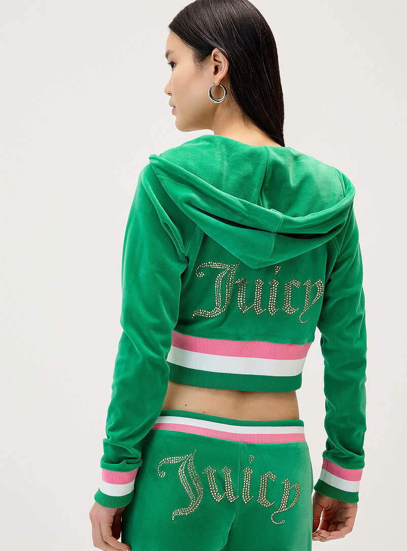 Shimmering logo velvet hooded sweatshirt product image 3