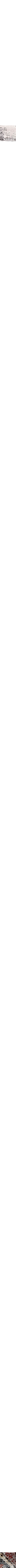 Gris à motifs