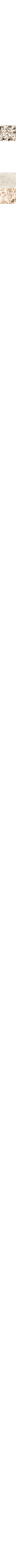 Gris à motifs